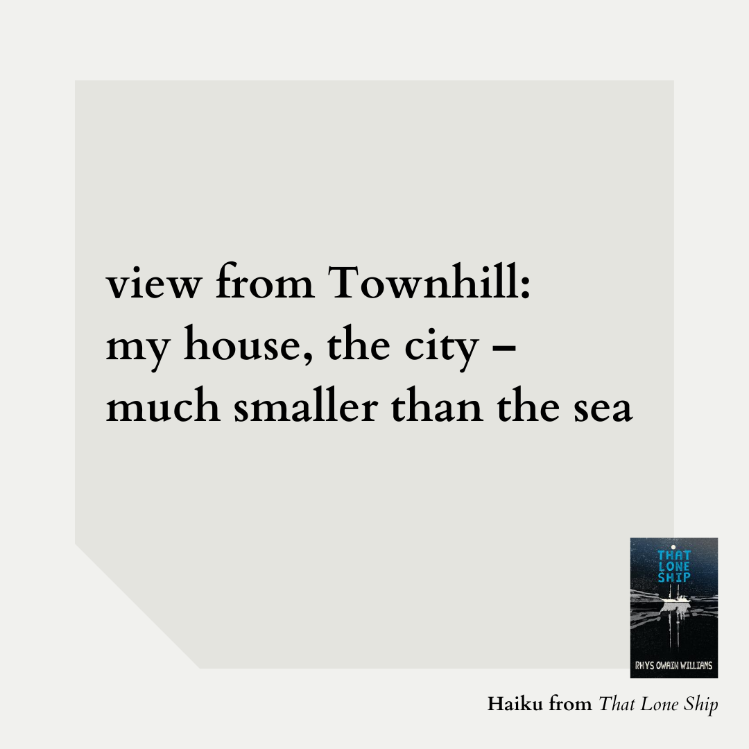 view from Townhill: my house, the city – much smaller than the sea