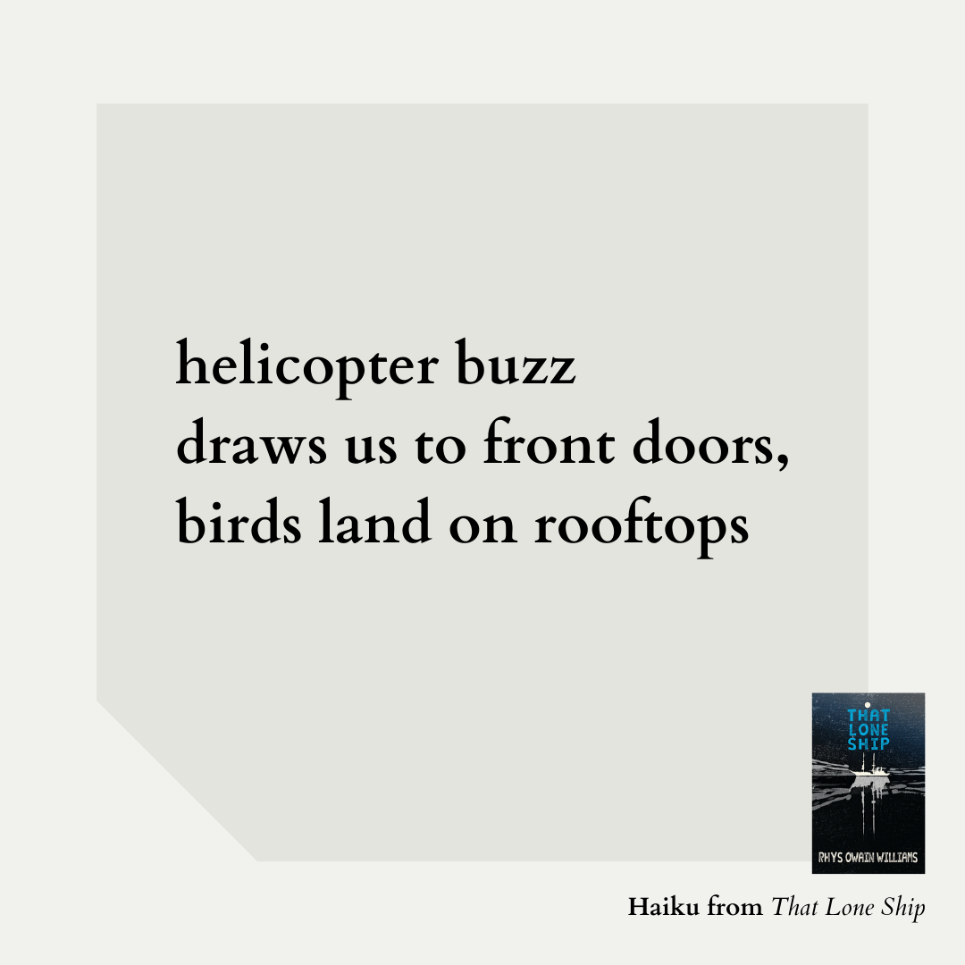 helicopter buzz draws us to front doors, birds land on rooftops