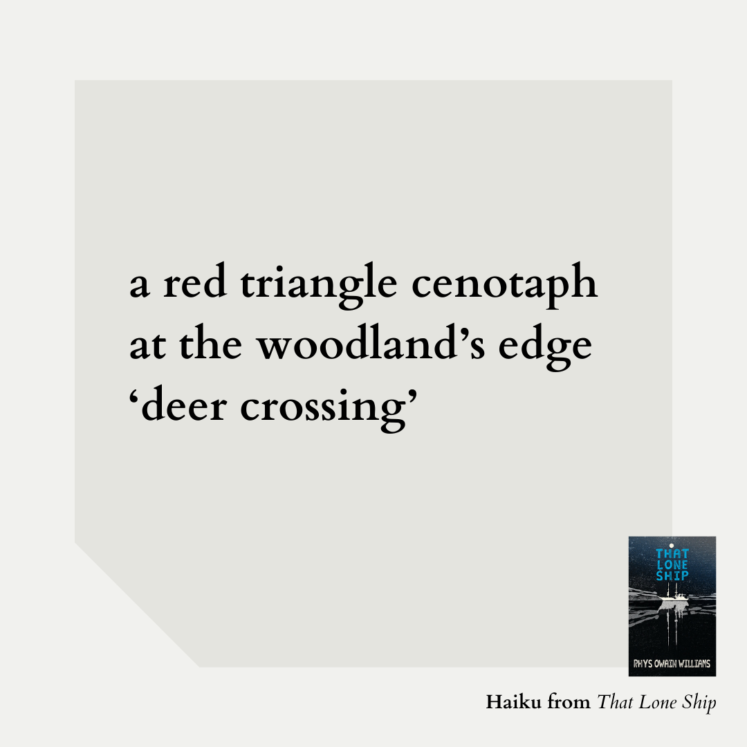 a red triangle cenotaph at the woodland’s edge ‘deer crossing’